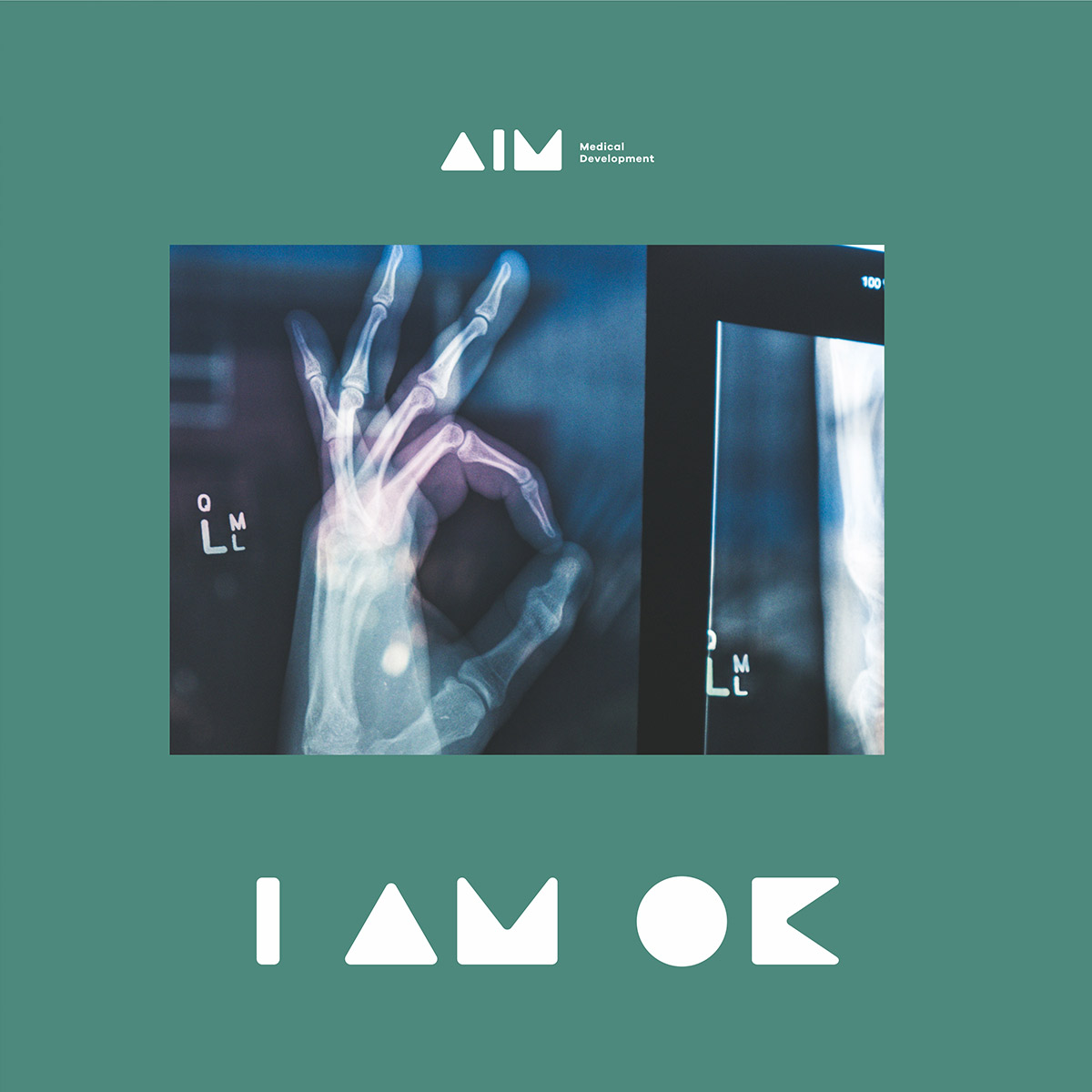 aim_logo